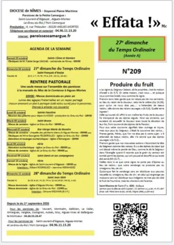 27e Dimanche du Temps Ordinaire 27e Dimanche du Temps Ordinair